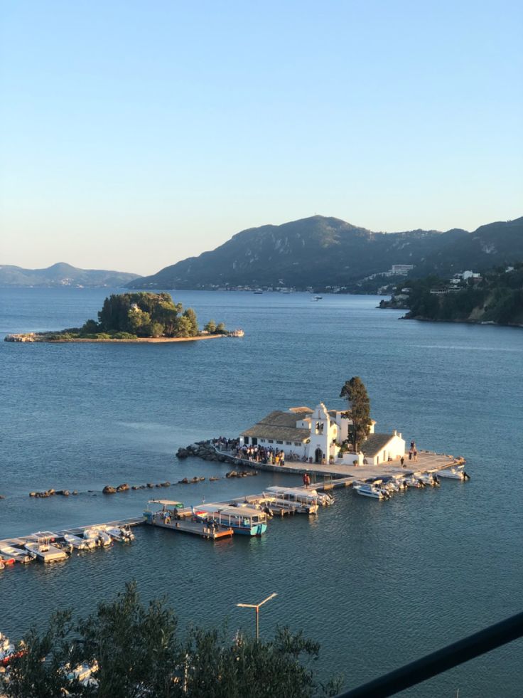 Mouse Island